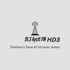 undefined 91.3 Ayclt FM HD3