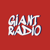 undefined Giant Radio