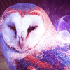 undefined chaos-eulen-radio