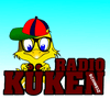 undefined radio-kueken-swiss