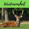 undefined Waidmannsheil