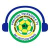 undefined Pontual FM 95,3