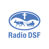 undefined Radio DSF