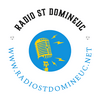 undefined radio st domineuc