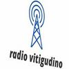 undefined radio vitigudino