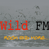 undefined Wild FM Rock Radio