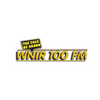 undefined WNIR - 100.1 FM 