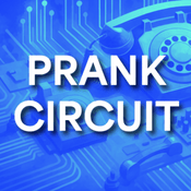 Radio Prank Circuit Radio
