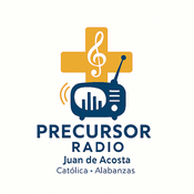 Radio Precursor radio