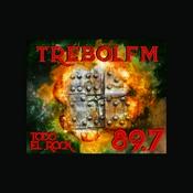 Radio Trebol FM 89.7