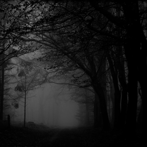 Escucha Radio Caprice - Atmospheric/Ambient Black Metal/Dungeon Synth en la aplicación