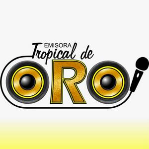 Escucha Emisora Tropical de Oro en la aplicación