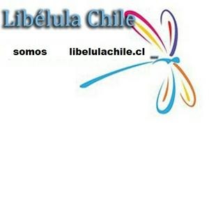 Escucha LibelulaChile.cl Señal 1 en la aplicación