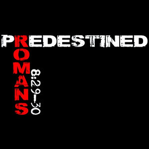 Escucha PREDESTINED RADIO en la aplicación