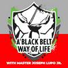 undefined A Black Belt Way of Life