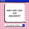 undefined ADN Y ARN