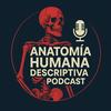 undefined Anatomia humana para principiantes