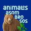 undefined Animales Asombrosos