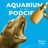 undefined Aquarium of the Podcific