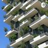 undefined Arquitectura sustentable.