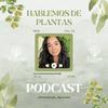 undefined Hablemos de plantas