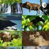 undefined Biodiversidad Mexicana.