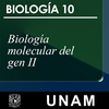 undefined Biología molecular del gen II