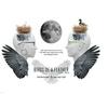 undefined Birds Of A Feather (BOAFONAIR)