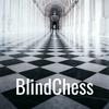 undefined BlindChess