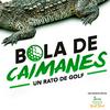 undefined Bola de Caimanes