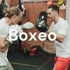 undefined Boxeo