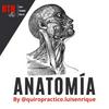 undefined BTH-Anatomía