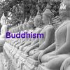 undefined Buddhism: Learning from the begining. First book.