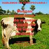 undefined Buenas Practicas De Manejo o Pastoreo De Vacas Preñadas