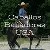 undefined Caballos Bailadores USA