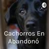 undefined Cachorros En Abandonó