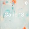 undefined Calle 13
