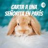 undefined Carta a una Señorita en París