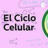 undefined Ciclo Celular Y Reproducción Celular.