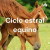 undefined Ciclo estral equino