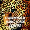 undefined Combatiendo al tráfico de vida silvestre