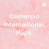 undefined Comercio Internacional, Puga.