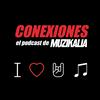 undefined Conexiones MZK