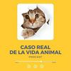 undefined Caso Real de la Vida Animal