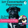 undefined 🐶❤️ Consejos y cuidados de nuestros Pug Carlinos - @pugcaracas 🇻🇪