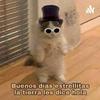 undefined Cosas Random De Un Pre Adolescente Ekis