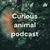 undefined Curious animal podcast