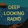 undefined DEEP LOOKING RADIO