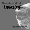 undefined Descubriendo el laberinto