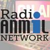 undefined Dirette di Radio ANMIL Network